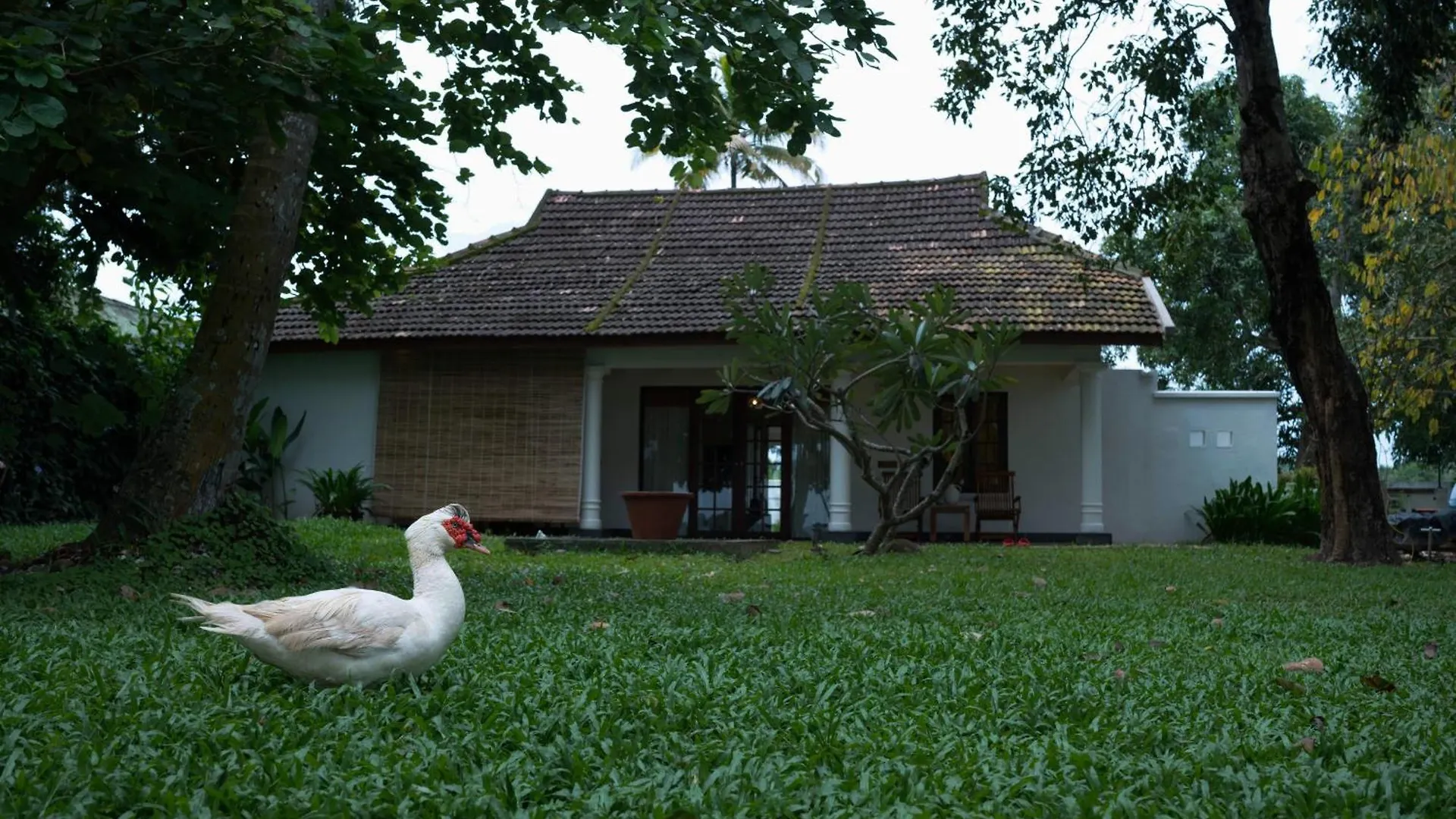 Hotel Olam Kochi Resort